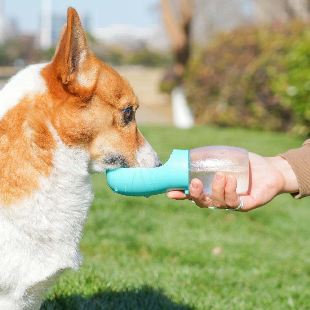 Pet Water Bottle&Drinking Bowls 300ML