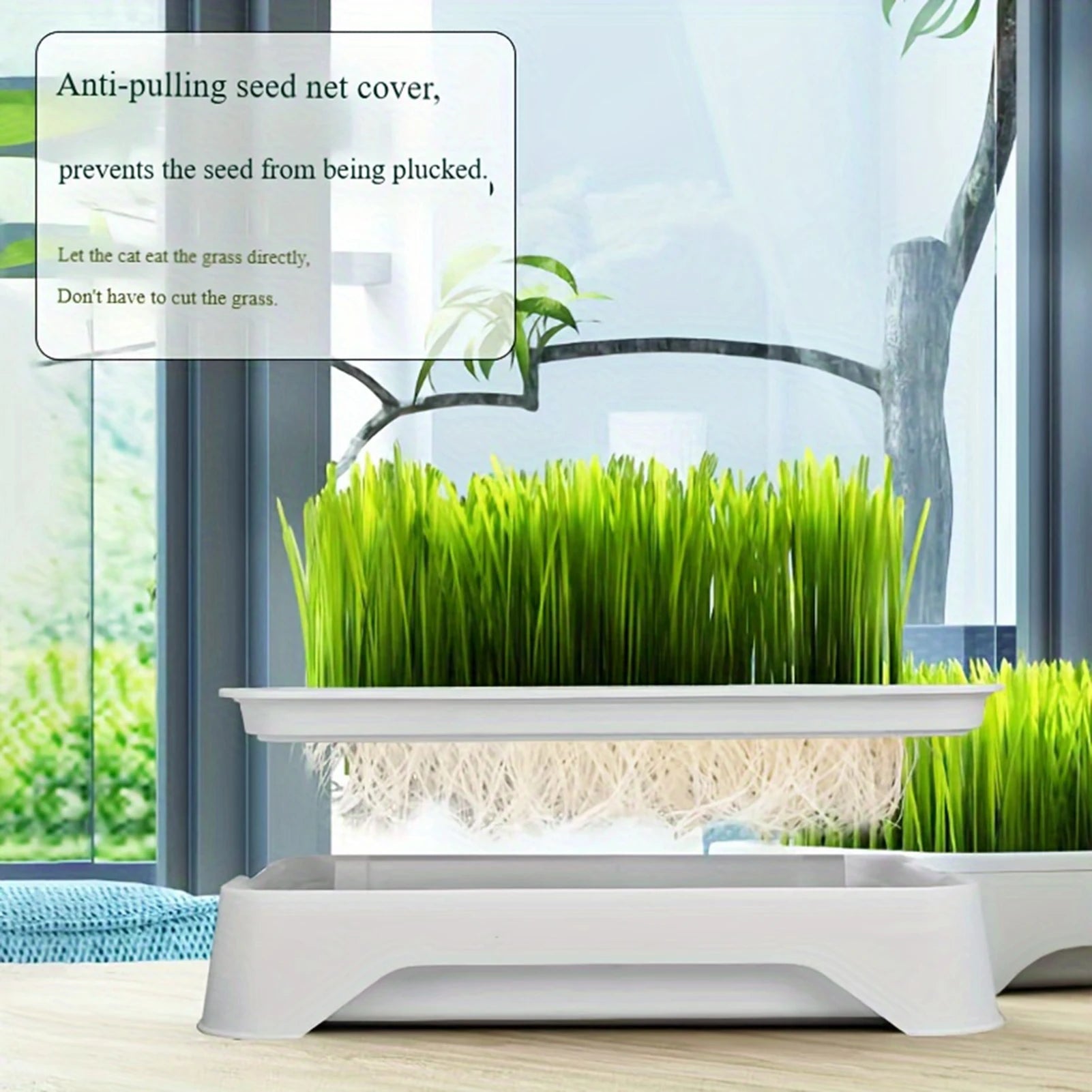 Eco-Friendly Grass Growing Pot