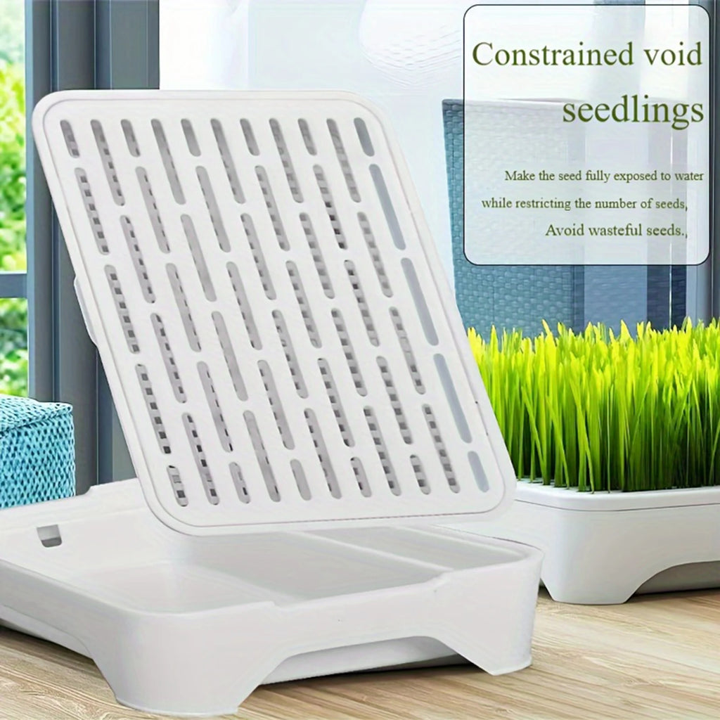 Eco-Friendly Grass Growing Pot