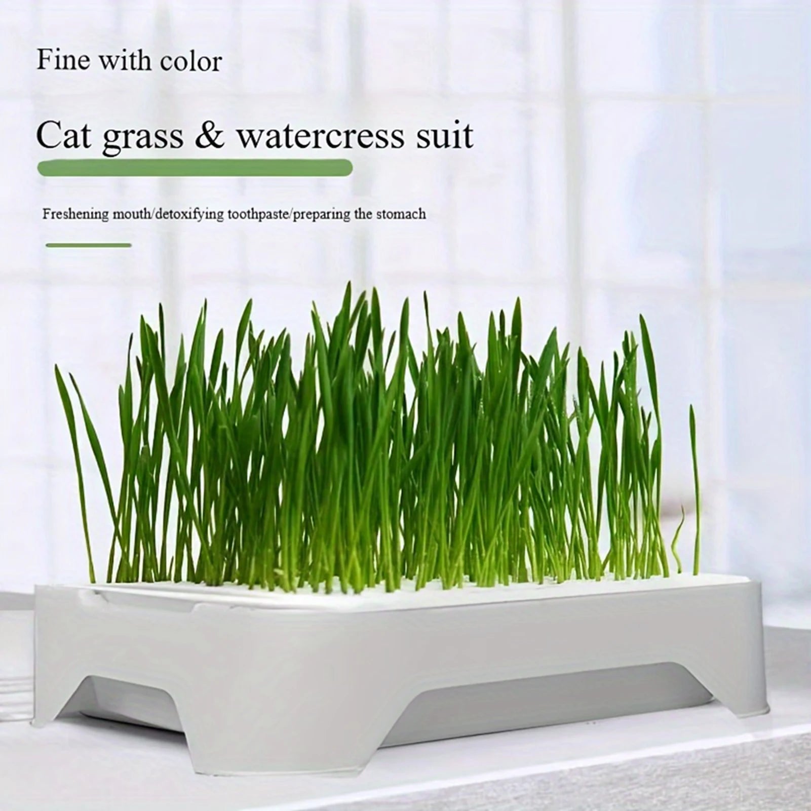 Eco-Friendly Grass Growing Pot