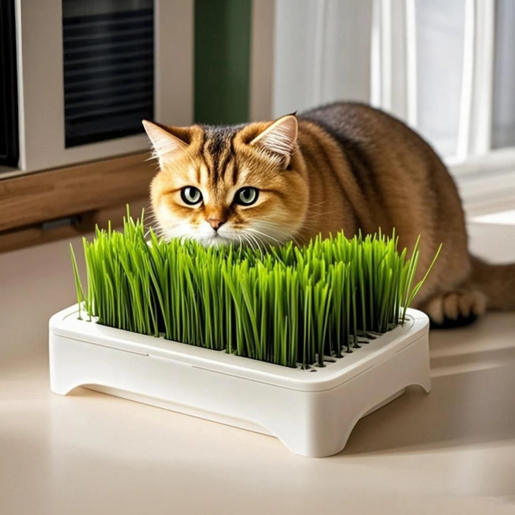Eco-Friendly Grass Growing Pot